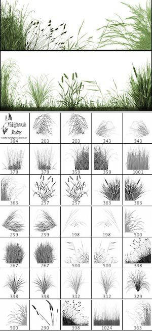 精美草丛PHOTOSHOP笔刷！