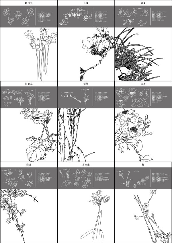中国工笔画图谱矢量素材1~10
