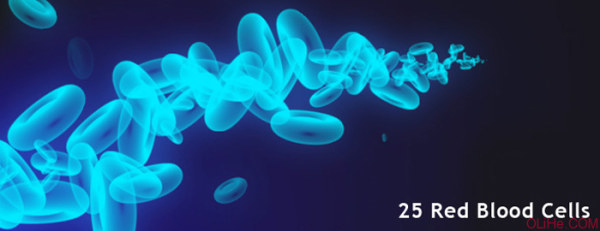 血小板形状PHOTOSHOP笔刷！