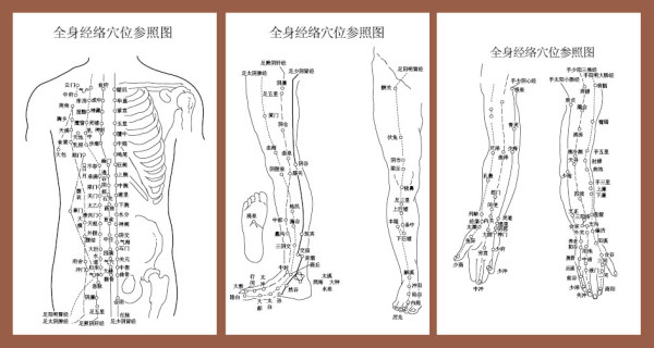 中医针灸全身穴位经络参照图