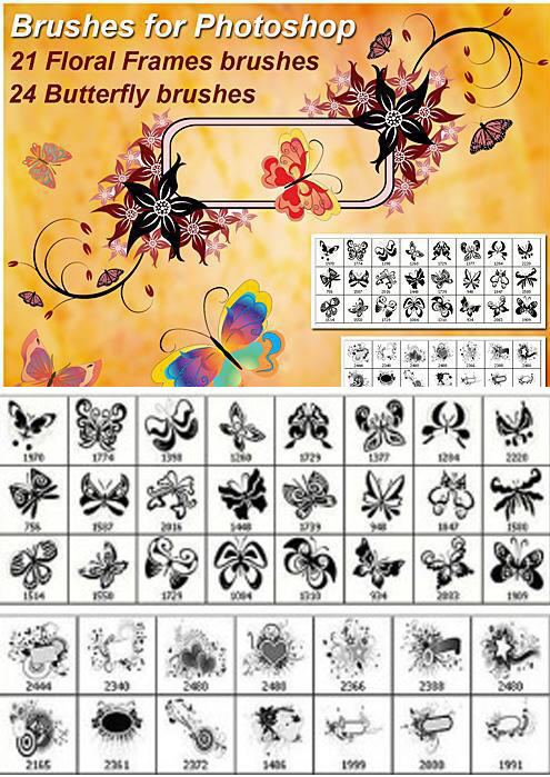 极漂亮的高清晰24款蝴蝶花纹及21款时尚蒙版PS笔刷