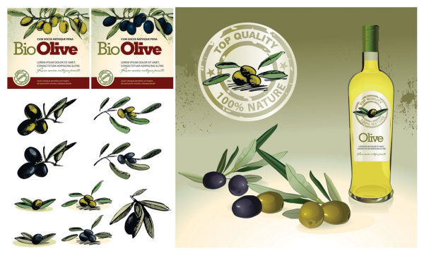 橄榄油主题矢量素材