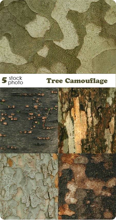 5张高清晰&ldquo;树木&rdquo;的伪装图案（JPEG）