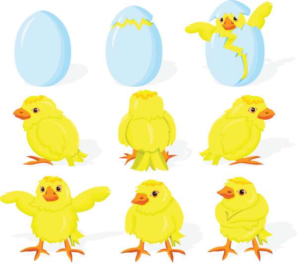 卡通小鸡破壳01——矢量素材