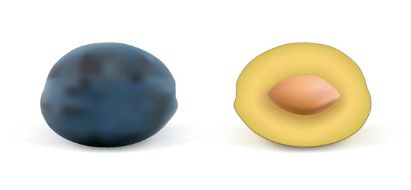 写实水果03&mdash;&mdash;矢量素材