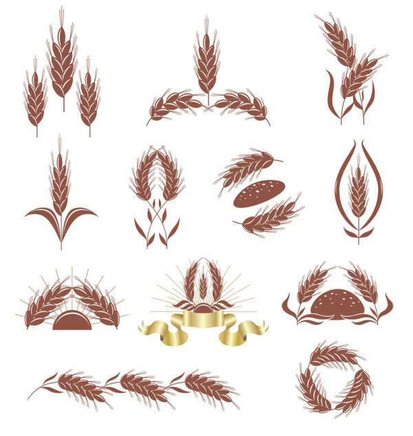 麦穗02——矢量素材