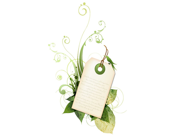 淡雅花纹文本标签矢量素材-4