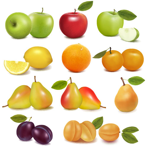 Tasty fruit 02 - vector material