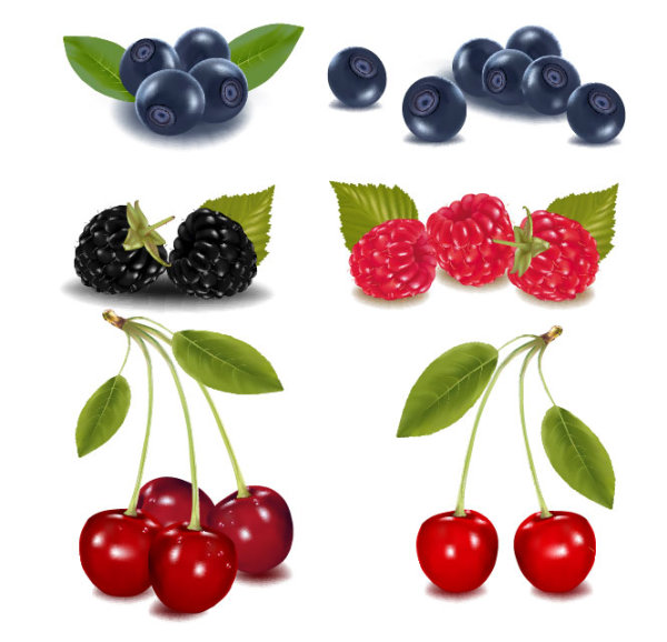 Fruit Picture 01 - vector material