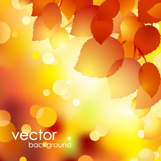 Beautiful autumn background 01 - vector material