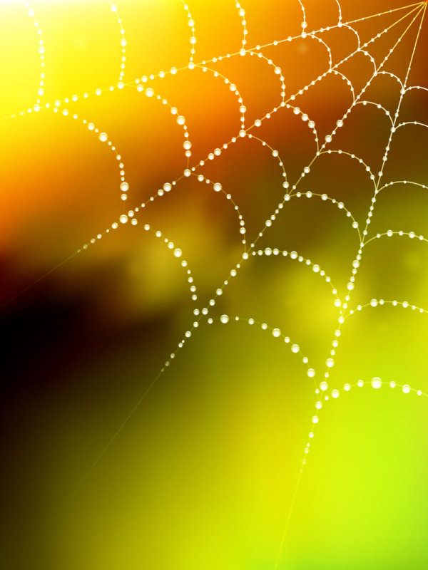 Dew cobweb 01 - vector material