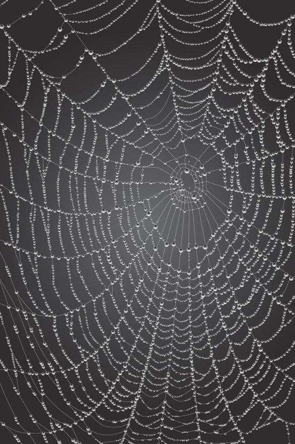Dew cobweb 02 - vector material