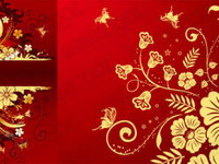 2 exquisite pattern vector material