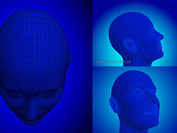 3D Models style picture vector material