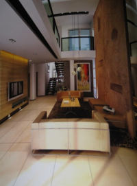 Dark shades minimalist style living room