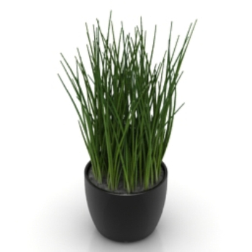 indoor potted model grass