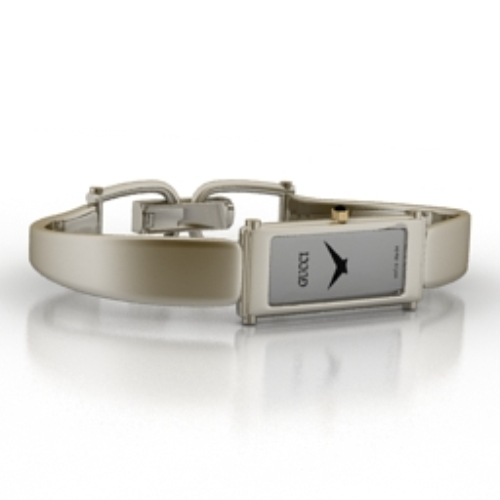 fine stainless steel watch model