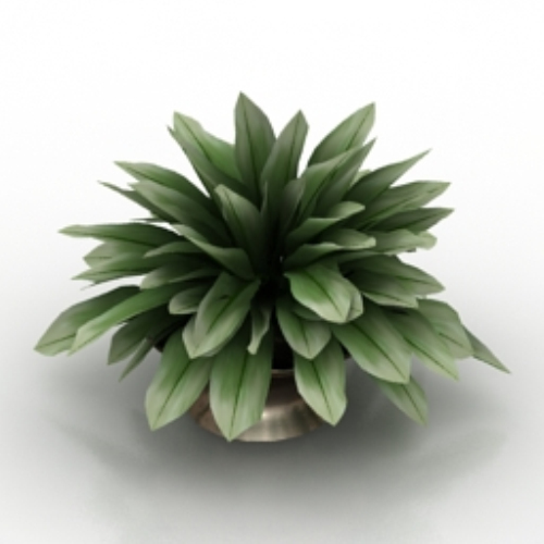 pot model