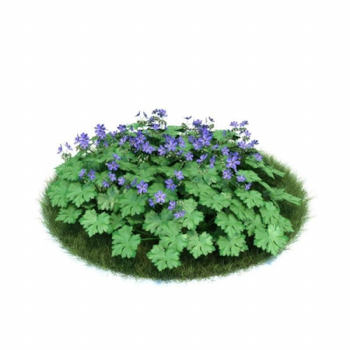 Green purple 3D model