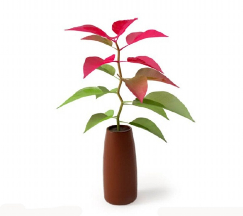 Plant 3D model renderings