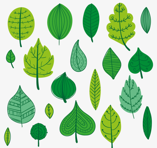 Paragraph 19 Green leaves design vector
