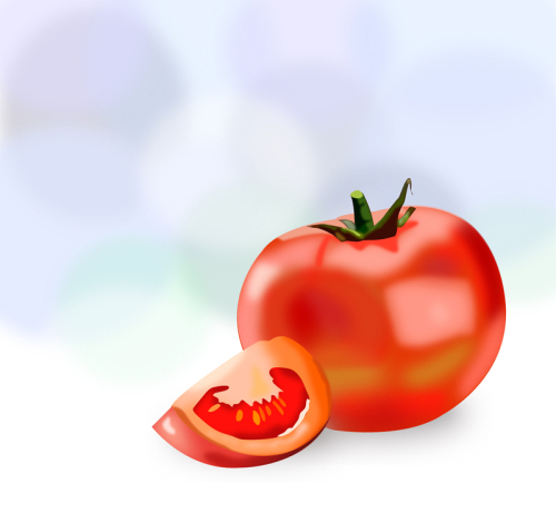 Realistic red tomato vector material