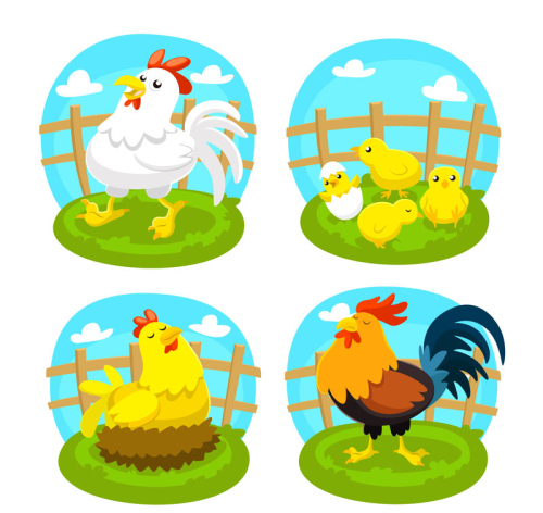 4 chicken cute farm design vector material